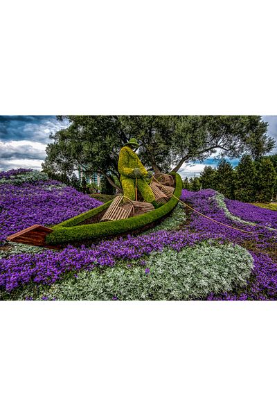 media Canvas painting Park with violins, 90 x 60 cm
