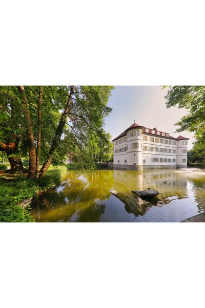 media Tablou canvas City96 Castel Moated Bad Rappenau, 75 x 50 cm