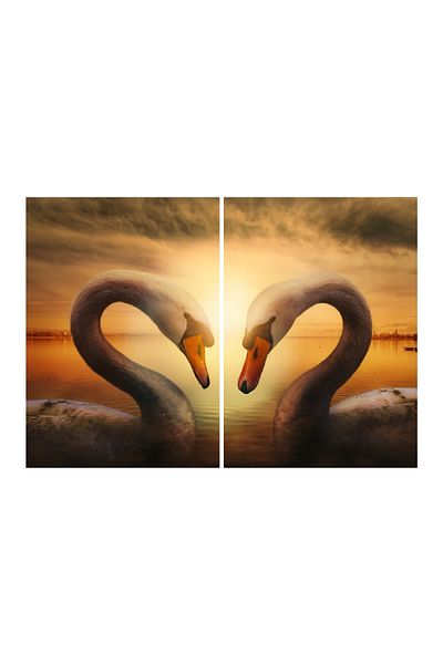 media Multicanvas painting 2 pieces Swan 1, 100 x 70 cm