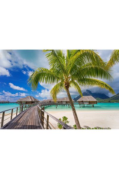 media Photo wallpaper Houses on the water, 300 x 250 cm