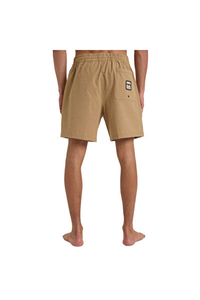 BİLLABONG Every Other Day lb Men's Brown Volleyball Shorts Men's Volleyball Shorts Ebyjv00145