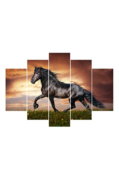 media Tablou multicanvas 5 piese Cai 3, 150 x 105 cm