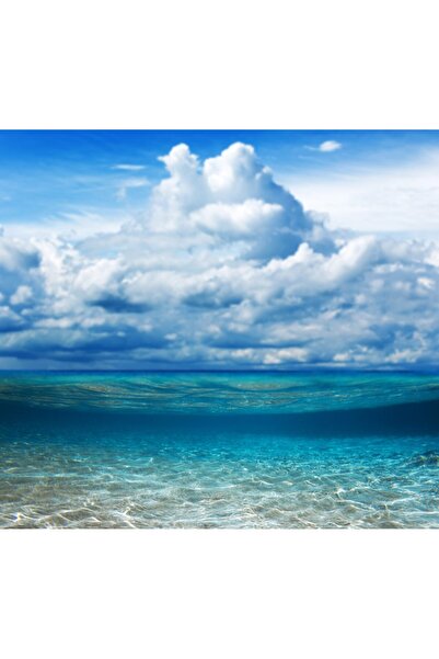 media Tablou canvas Plaja61, 45 x 45 cm