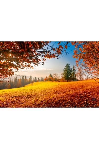 media Fototapet de perete autoadeziv si lavabil Natura106, 250 x 200 cm