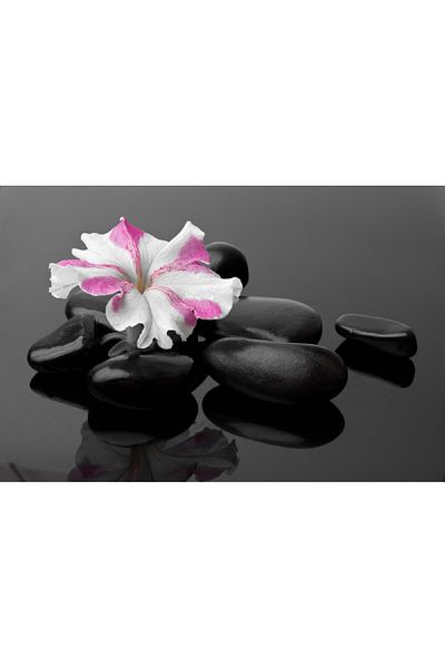 media Canvas painting Flowers 11, 90 x 60 cm