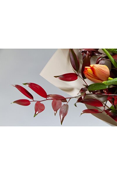 media Fototapet autocolant Flori160 Buchet cu lalea si leucadendron, 250 x 15...