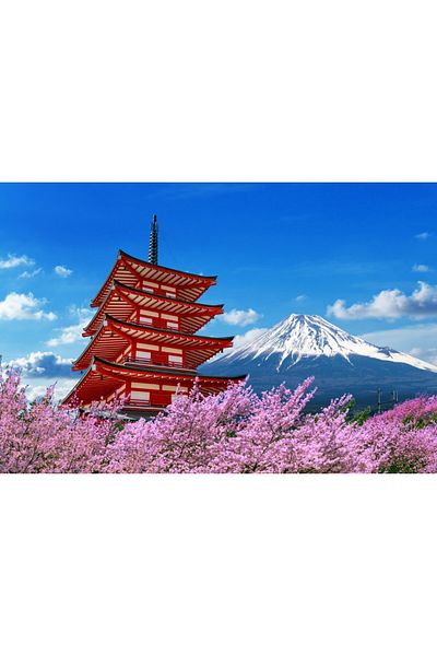 media Fototapet de perete autoadeziv si lavabil Flori154 Pagoda cu ciresi infloriti, 270 x 200 cm
