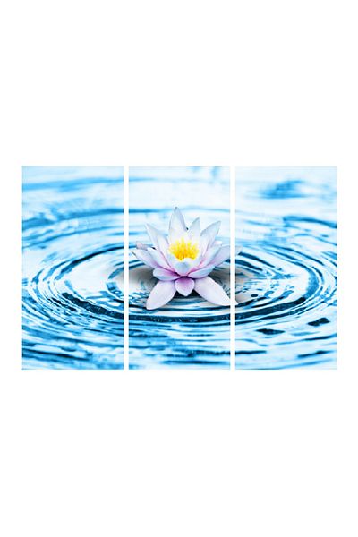 media Multicanvas painting 3 pieces Flowers 6, 120 x 80 cm