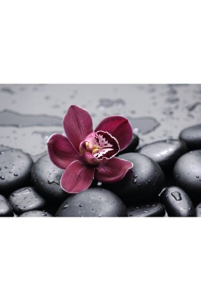 media Tablou canvas Flori 15, 75 x 50 cm