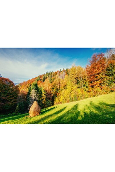 media Tablou canvas Padure21, 90 x 60 cm