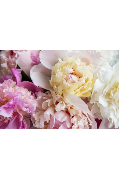 media Tablou canvas Flori131, 105 x 70 cm