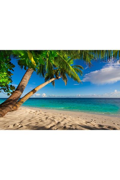 media Canvas painting In the shade of palm trees 2, 90 x 60 cm