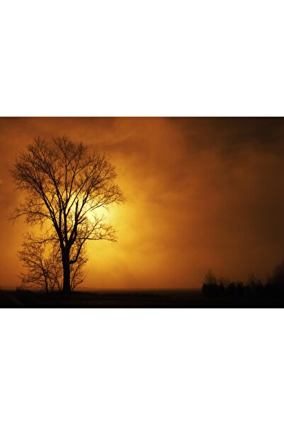 media Tablou canvas Natura84, 75 x 50 cm