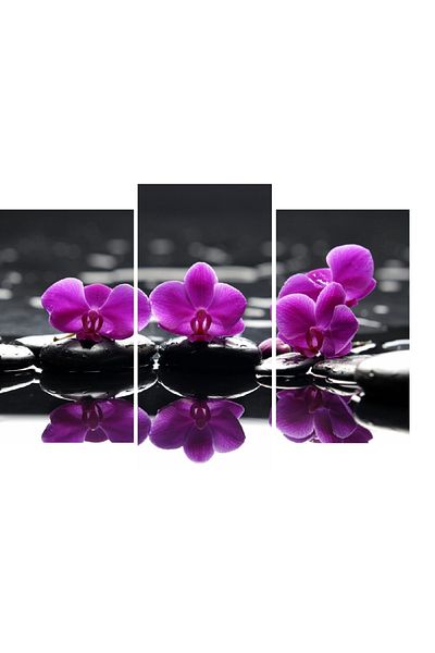 media Multicanvas painting 3 pieces Flowers 9, 120 x 85 cm