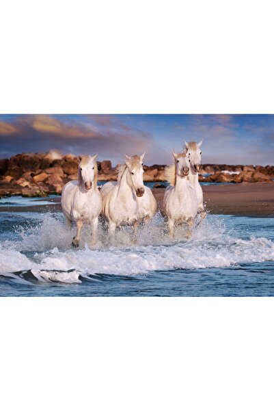 media Tablou canvas Animal27, 105 x 70 cm