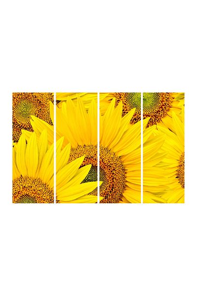 media Multicanvas painting 4 pieces Flowers 2, 120 x 85 cm