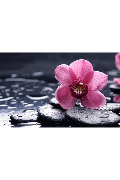 media Canvas painting Pink Orchid, 105 x 70 cm