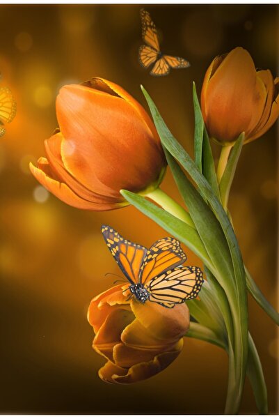 media Tablou canvas Lalele portocalii, buchet, 60 x 90 cm