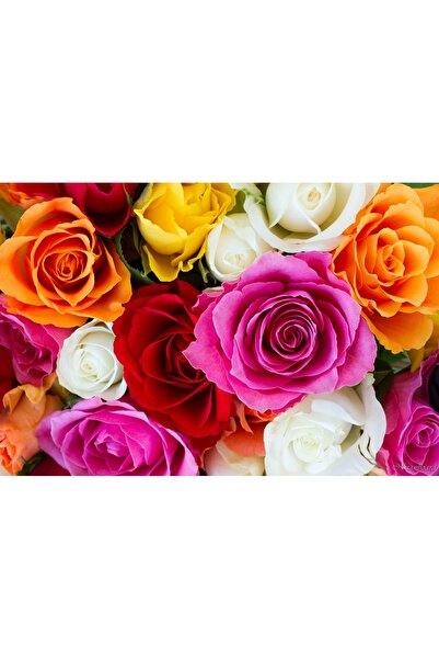 media Tablou canvas Explozie de culori, 45 x 30 cm