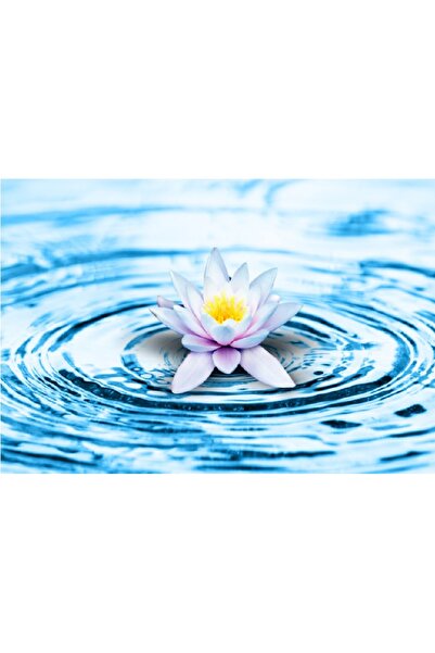 media Tablou canvas Flori 6, 90 x 60 cm