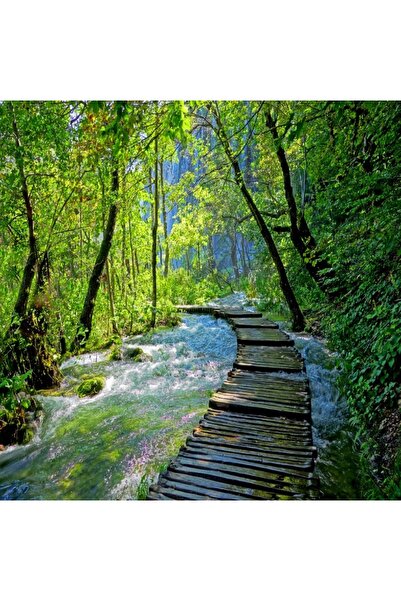 media Tablou canvas Pod lemn, padure, parc Plitvice, 50 x 50 cm