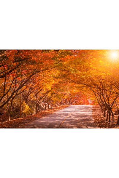 media Tablou canvas Padure37, 105 x 70 cm