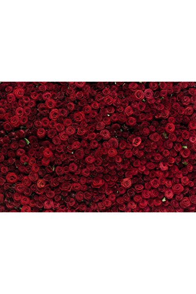 media Tablou canvas Flori143, 75 x 50 cm