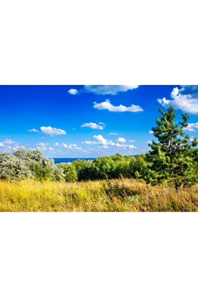 media Fototapet de perete autoadeziv si lavabil Natura48, 250 x 200 cm