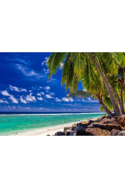 media Fototapet de perete autoadeziv si lavabil Palmieri, plaja tropicala, 250 x 150 cm