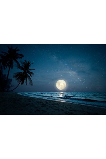 media Tablou canvas Plaja40, 75 x 50 cm