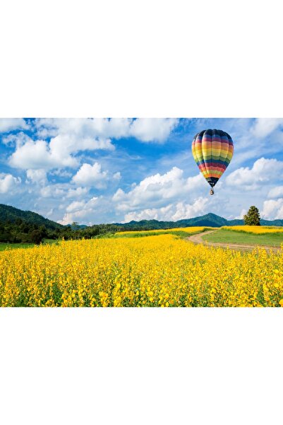 media Tablou canvas Natura63, 105 x 70 cm