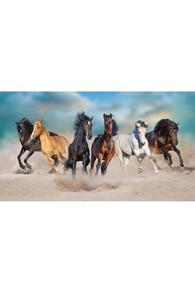 media Fototapet de perete autoadeziv si lavabil Cai in galop in furtuna de praf, 220 x 135 cm