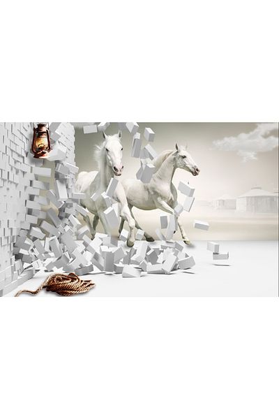 media Canvas painting White horses through the wall, 60 x 40 cm