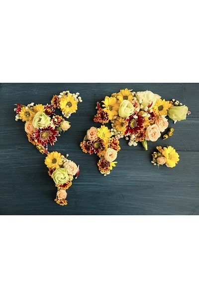 media Canvas painting Continents of flowers, 60 x 40 cm