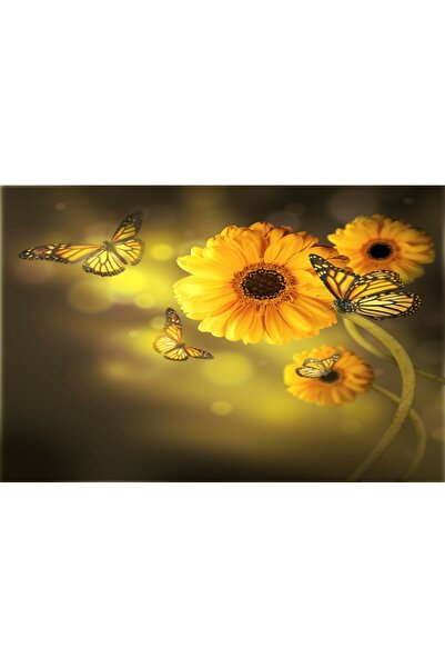 media Tablou canvas Gerbere galbene, buchet, 60 x 40 cm