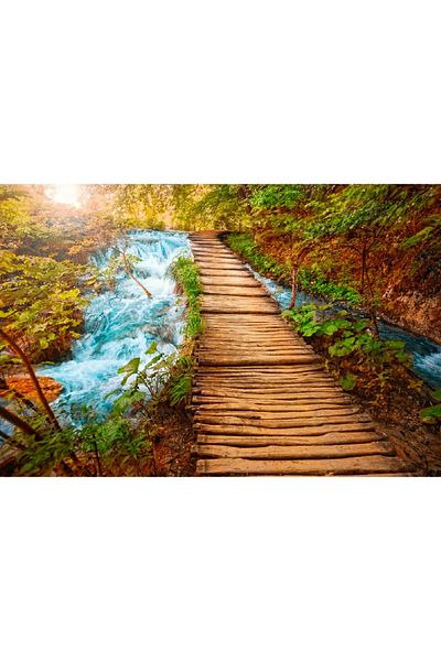 media Canvas painting Nature 11, 75 x 50 cm