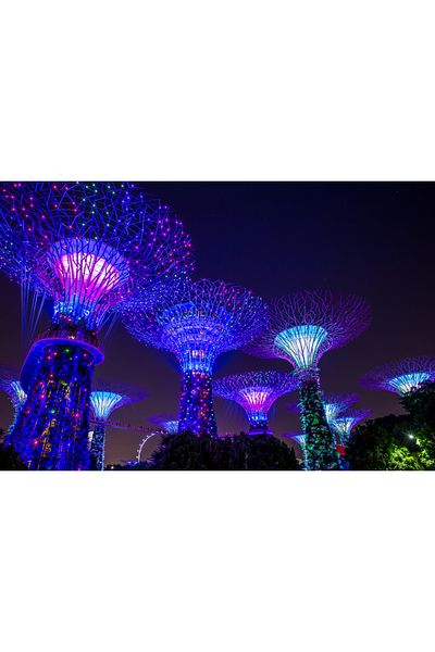 media Canvas painting Singapore Park 3, 105 x 70 cm