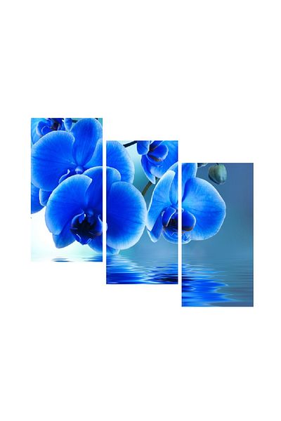 media Multicanvas painting 3 pieces Flowers 16, 120 x 90 cm