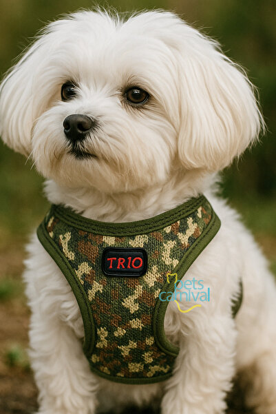 Pets Carnival Kedi Köpek Air-mesh Göğüs Tasması Ve Gezdirme Sevk Kayışı Seti Camo 2si1 Arada