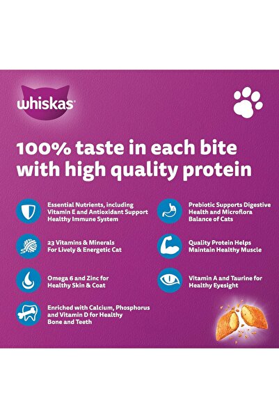 Whiskas Dry Cat Food - Ocean Fish, 1.2 kg (Adult 1+ years)