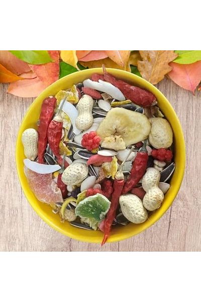 NEXIFY Premium Bird Food Seed Mix - 2 KG | Complete Diet for Medium & Large Parrots | Grains, Seeds, Nuts,