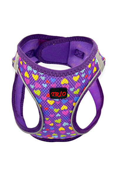 Pets Carnival Kedi Köpek Air-mesh Göğüs Tasması Ve Gezdirme Sevk Kayışı Seti Hearts 2si1 Arada