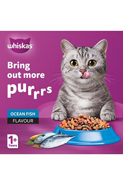 Whiskas Dry Cat Food - Ocean Fish, 1.2 kg (Adult 1+ years)