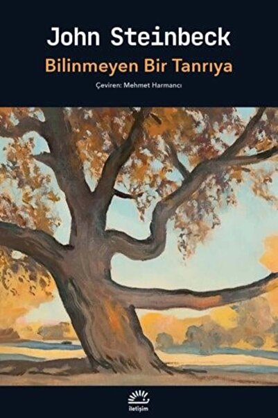 İletişim Yayınları Bilinmeyen Bir Tanrıya