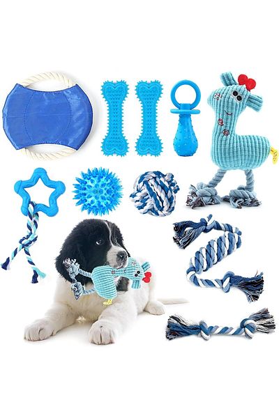 NEXIFY Hcpet 10Pcs Dog Chew Toys Set, Dog Interactive Toys, Light-Up Bouncing Ball, Squeaky Plush Toy, Rope