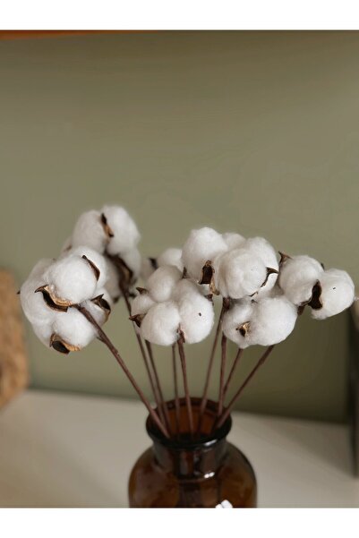 BUCOLIC 10'lu Kuru Pamuk Otu Demeti