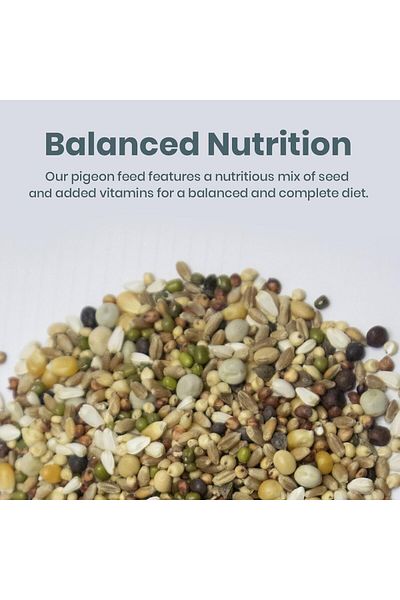 SKY TOUCH Brandsfinity 1Kg Premium Bird Food for Pigeons – Bird Feed for Domestic Pigeons, Nutrient-Rich See