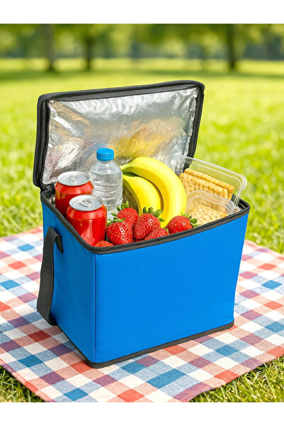 Ankaflex Car Auto Thermos - Refrigerator, Cool Holder and Picnic Bag Camping Beach Bag