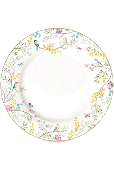 Generic طبق عشاء بورسلين لامع متعدد الألوان من Easy Life Birds Melody مقاس 26...
