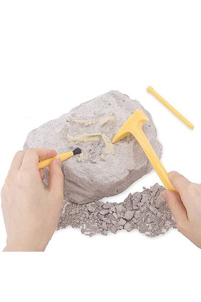 OEM Educational archaeology game, discover the Dinosaur fossil, Diplodocus
